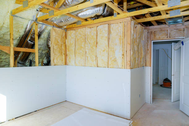 Best Eco-Friendly Insulation in Queen Creek, AZ