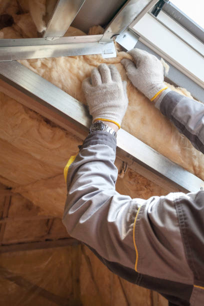 Best Geographic-Specific Insulation Services in Queen Creek, AZ